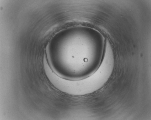 X0000060811110200511241928