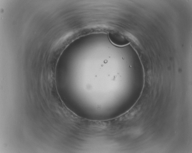 X0000060811111200511241928