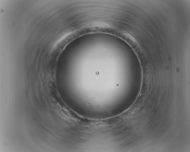 X0000060811112200511241928