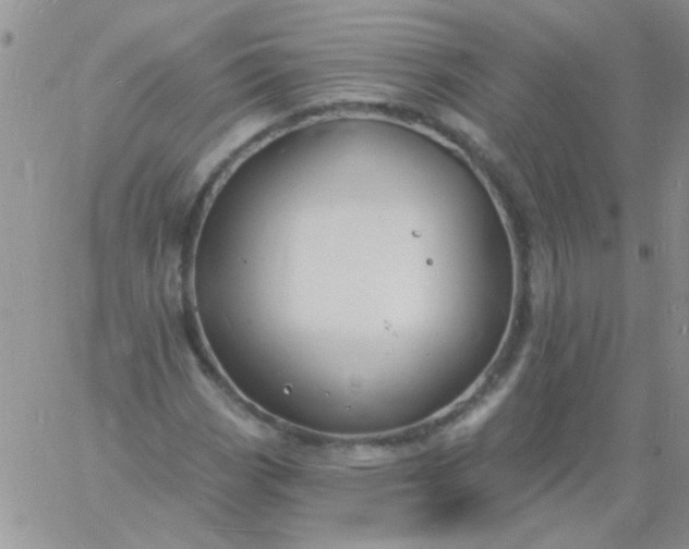 X0000060811113200511241928