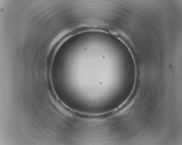 X0000060811114200511241928