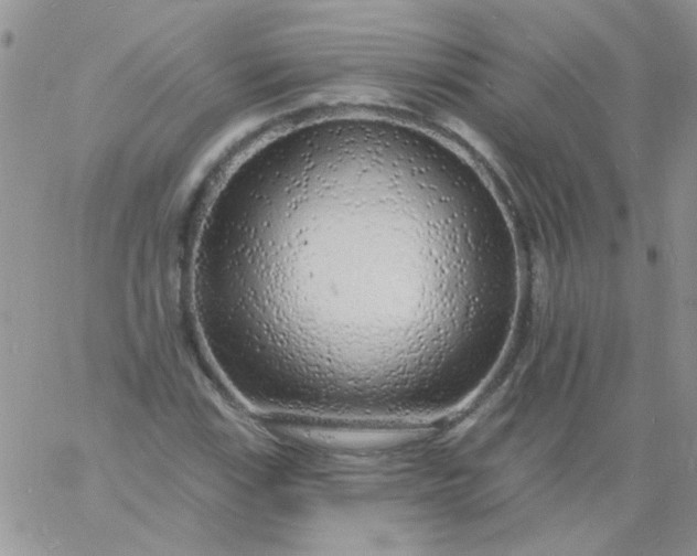 X0000060811115200511241928