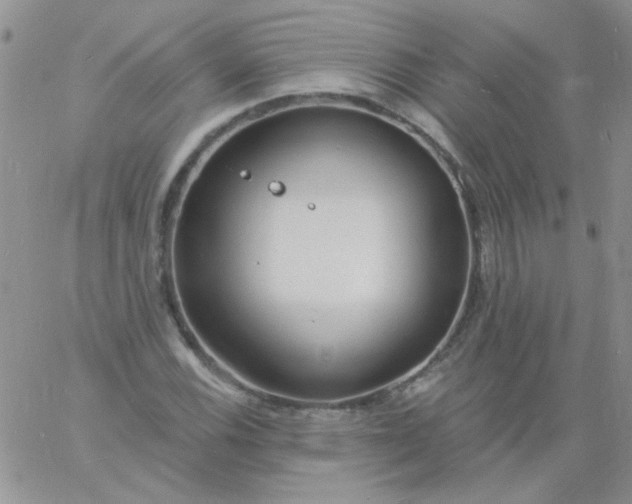 X0000060811116200511241928