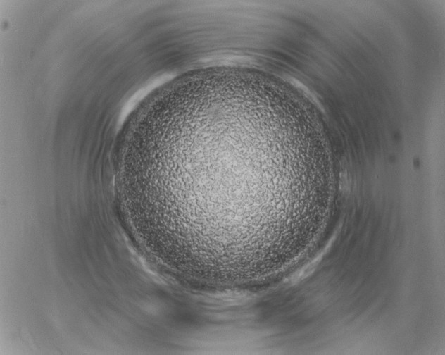 X0000060811117200511241928