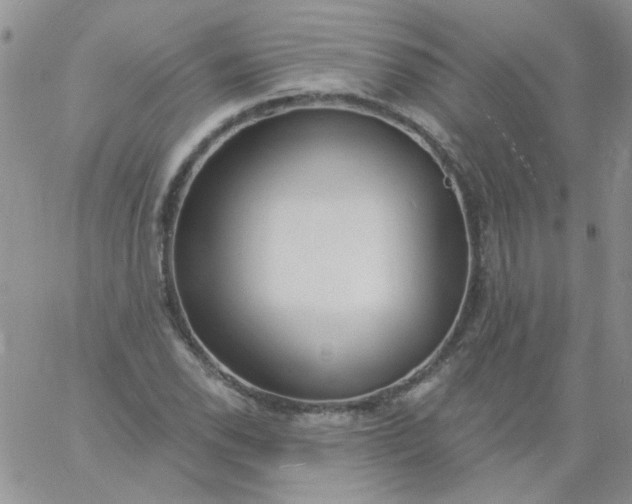 X0000060811118200511241928