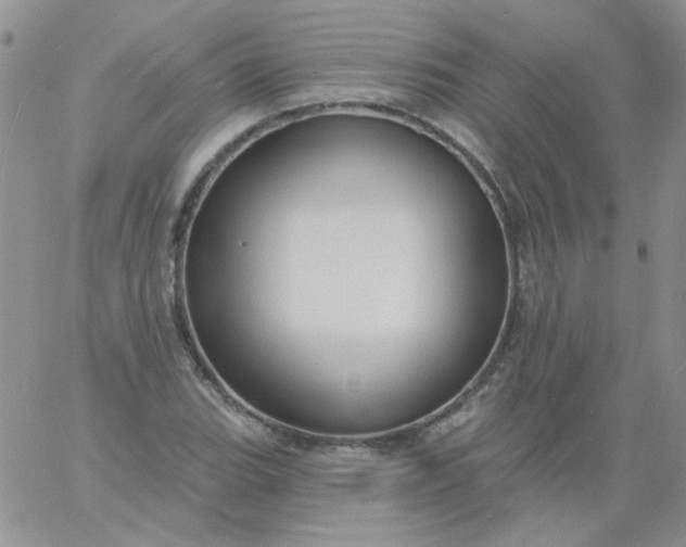 X0000060811119200511241928