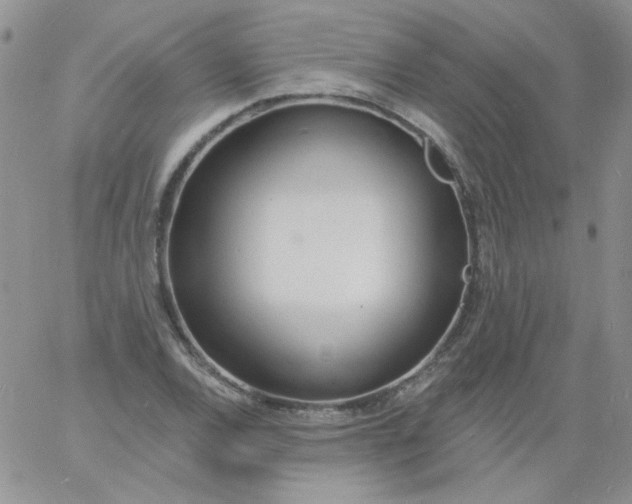 X0000060811120200511241928