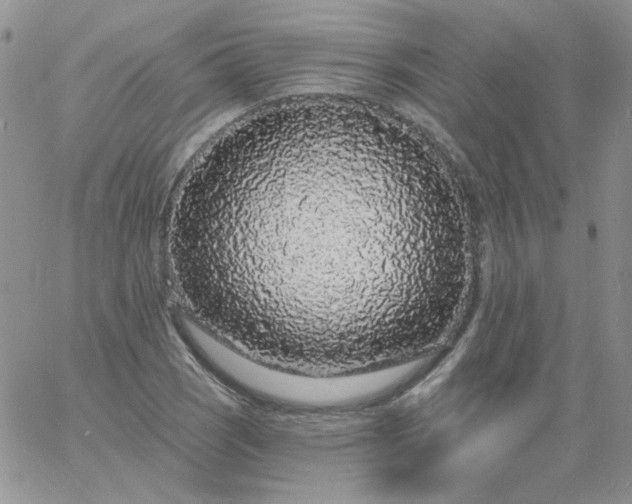 X0000060811121200511241928