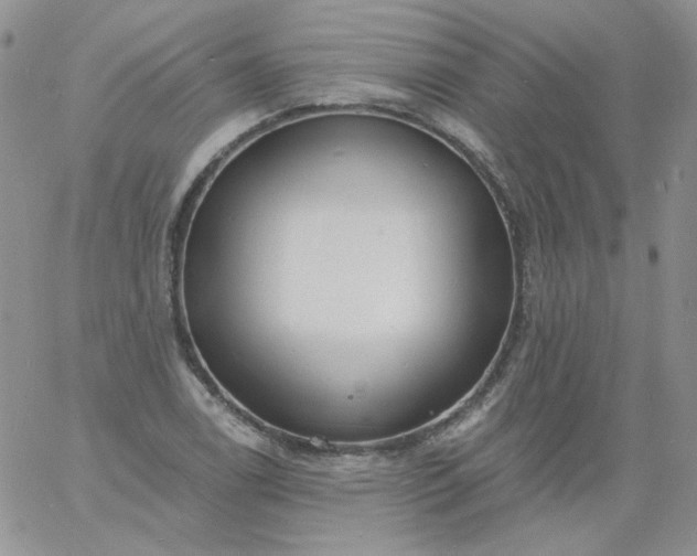 X0000060811122200511241928