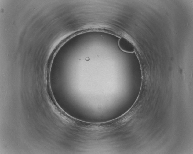 X0000060811124200511241928