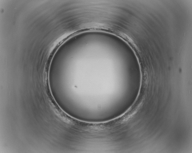 X0000060811125200511241929