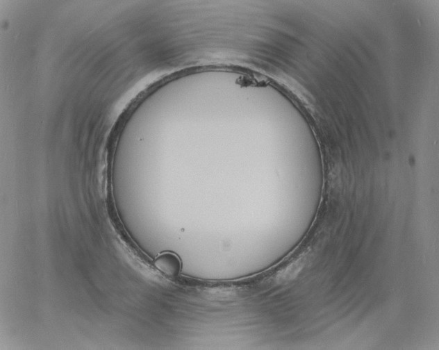 X0000060811126200511241929