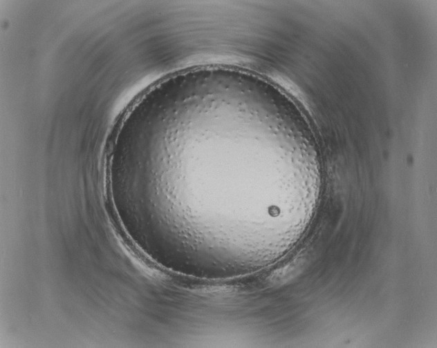 X0000060811127200511241929