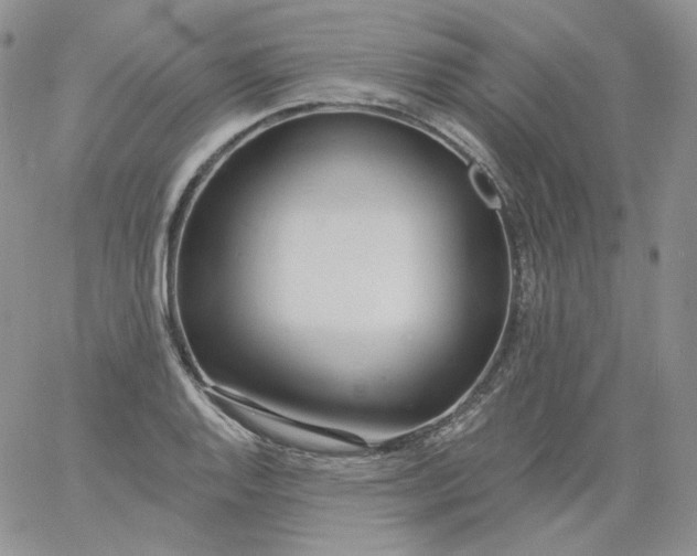 X0000060811128200511241929