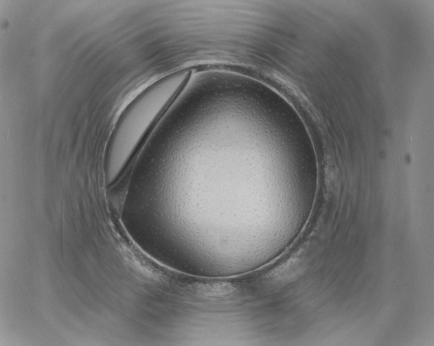 X0000060811129200511241929