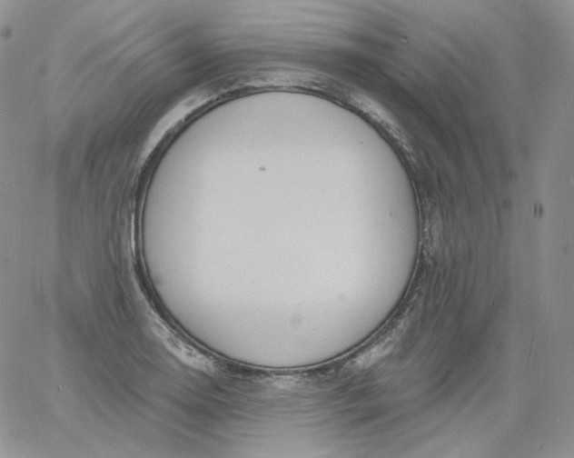 X0000060811130200511241929