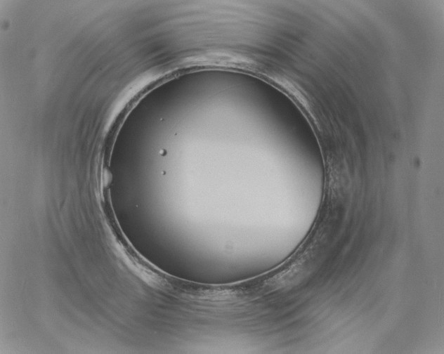 X0000060811131200511241929