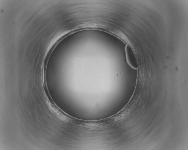 X0000060811132200511241929