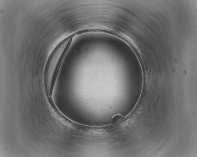 X0000060811133200511241929