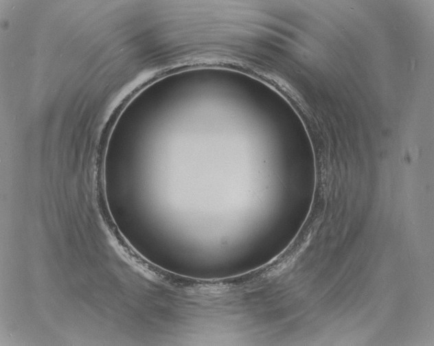 X0000060811134200511241929