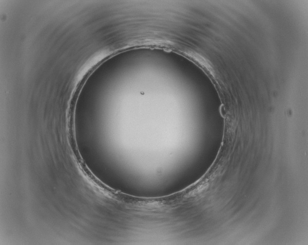 X0000060811135200511241929