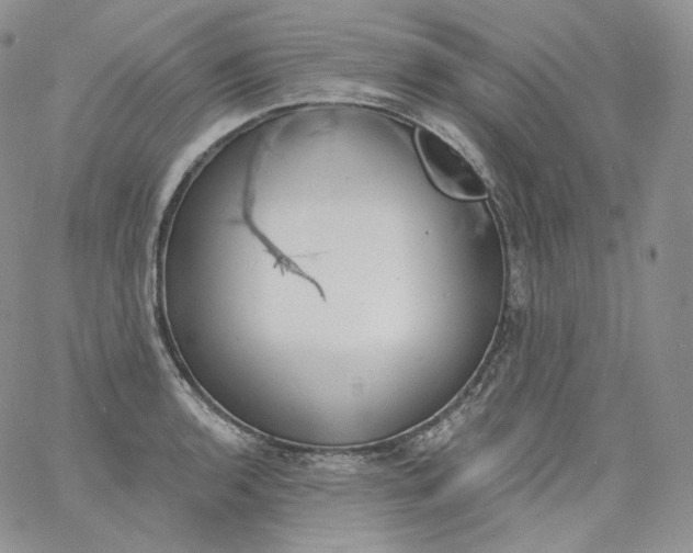 X0000060811136200511241929