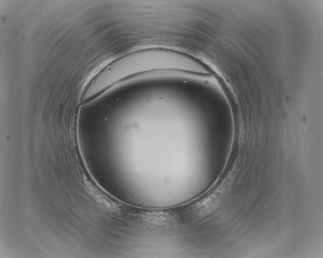 X0000060811137200511241929