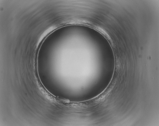 X0000060811138200511241929