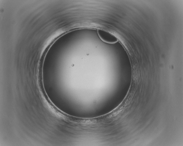 X0000060811139200511241929