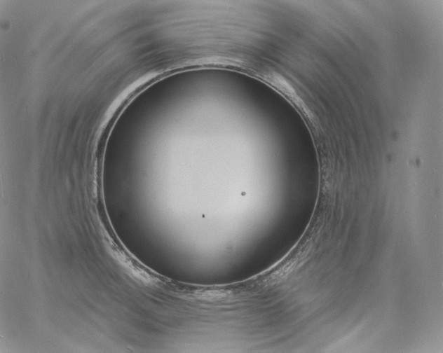 X0000060811140200511241929