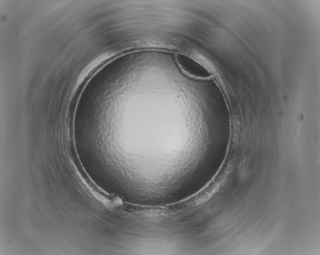 X0000060811141200511241929