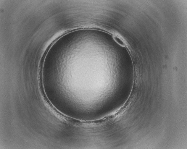 X0000060811142200511241929