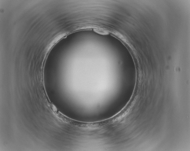 X0000060811145200511241929