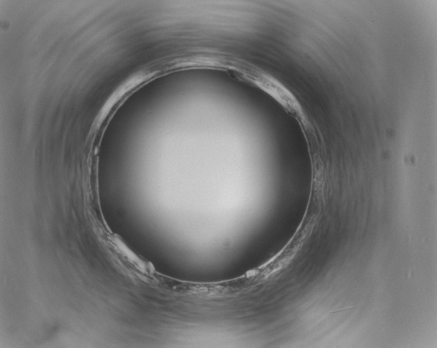 X0000060811146200511241929