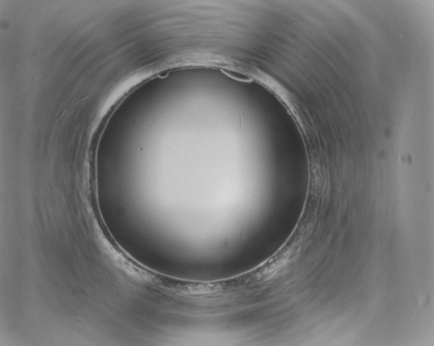 X0000060811147200511241929