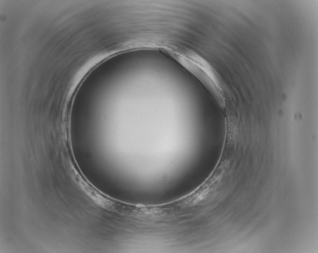 X0000060811148200511241929