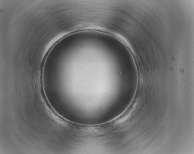 X0000060811149200511241929