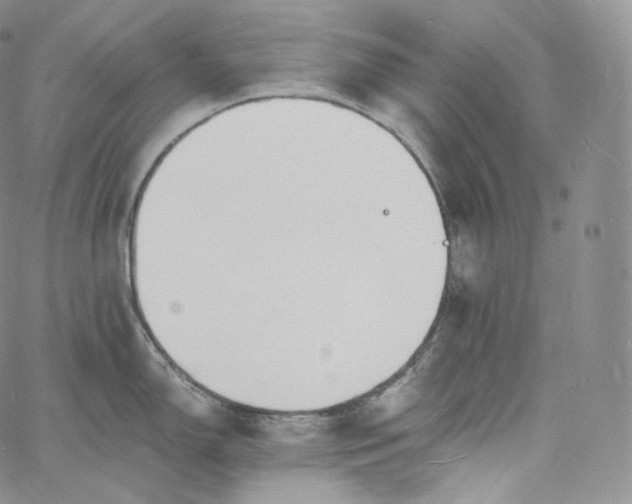 X0000060811150200511241929