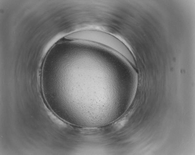 X0000060811151200511241929