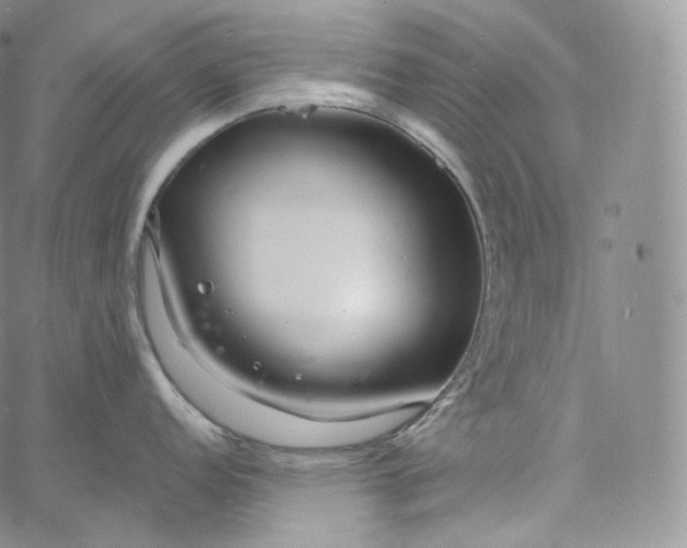 X0000060811152200511241929