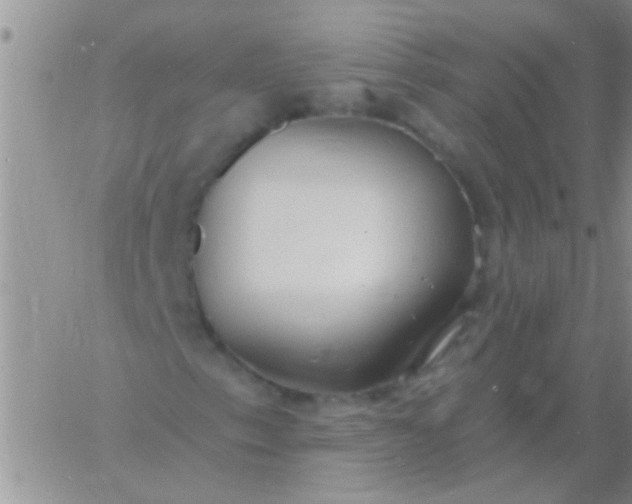 X0000060811153200511241928