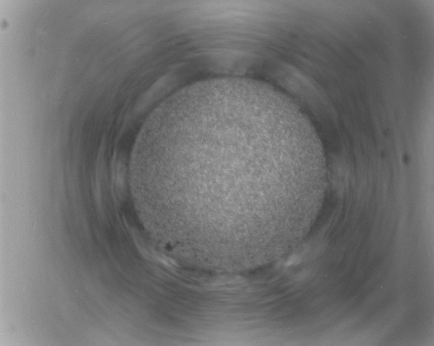 X0000060811154200511241928