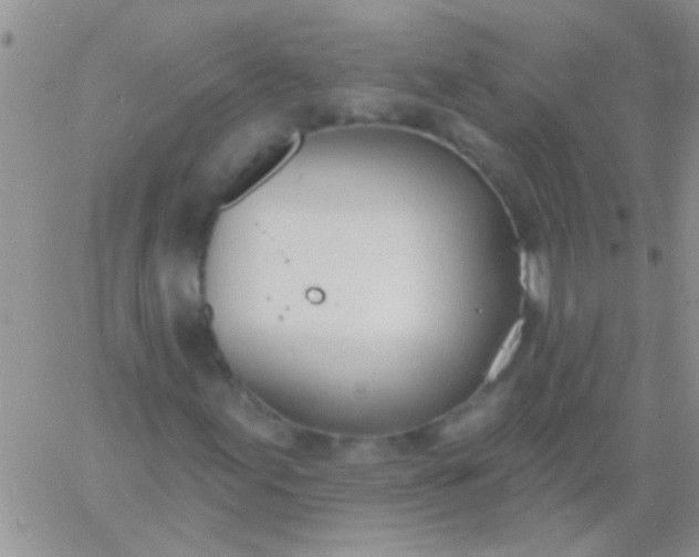 X0000060811155200511241928