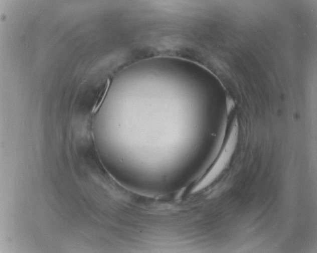 X0000060811156200511241928