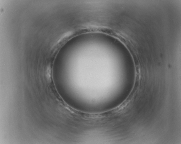 X0000060811157200511241928