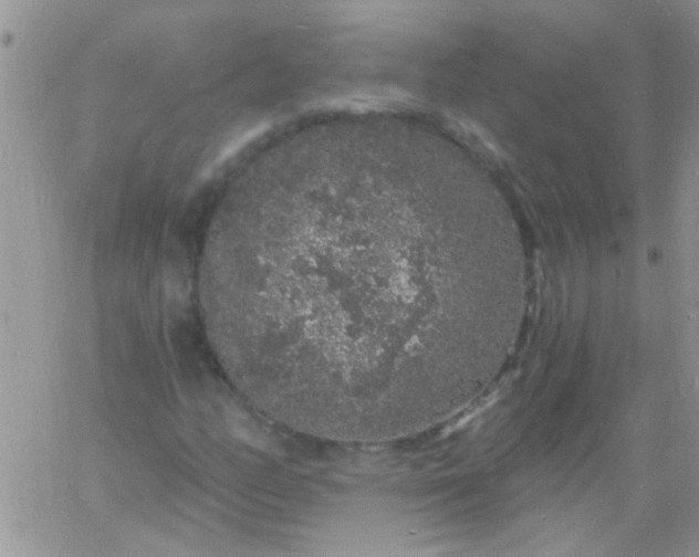 X0000060811158200511241928