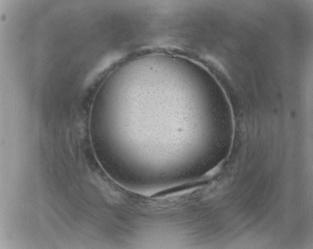 X0000060811159200511241928