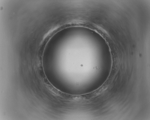 X0000060811160200511241928