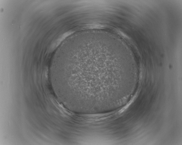 X0000060811161200511241928