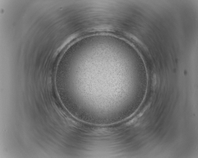 X0000060811162200511241928